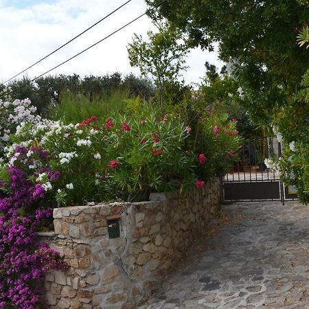 Apartment Les Moulins Saint-Tropez Exterior photo